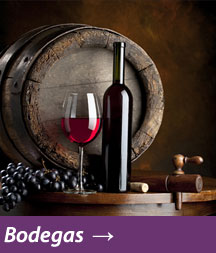 Bodegas
