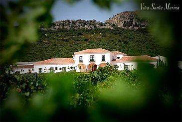 Visita para 2 a la bodega Viña de Santa Marina + cata de vinos
